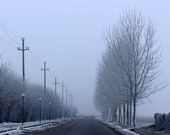 Frosty Winter Road with Bare Trees and Fog