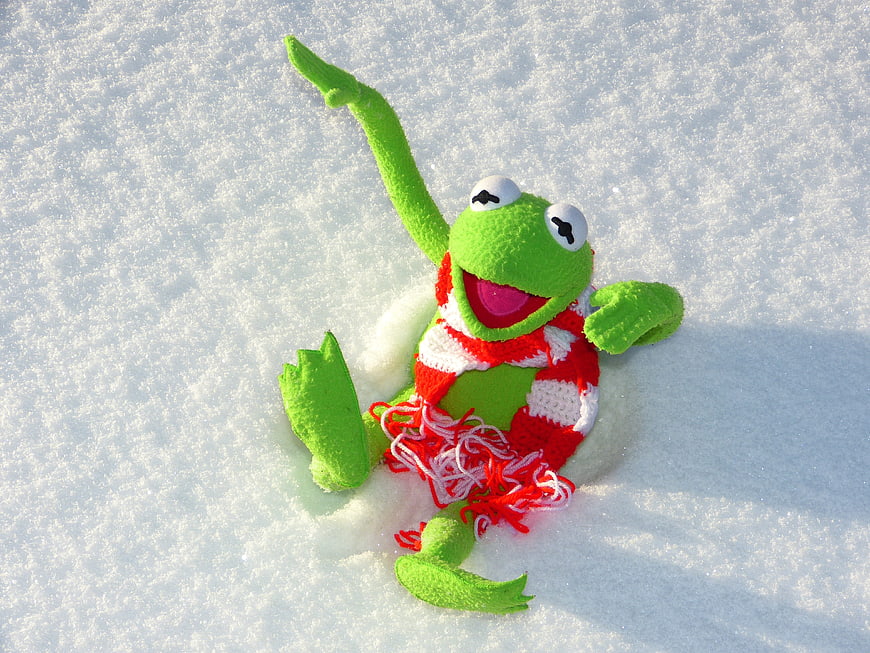 Green Kermit plush toy wearing red sweater lying in snow