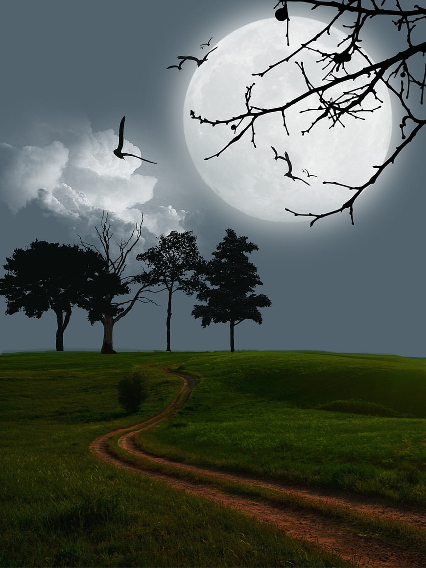 Mystical Night Landscape With Full Moon, Birds, And Winding Dirt Path