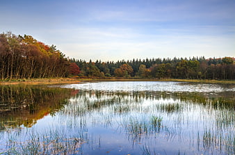 Serene Autumn Lake with Forest Reflections