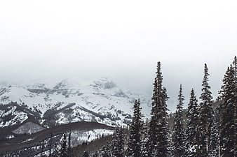 Snowy mountain landscape with evergreen trees in winter fog
