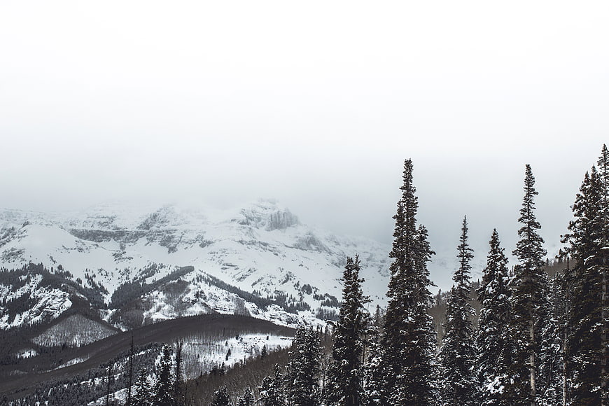 Snowy mountain landscape with evergreen trees in winter fog