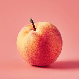 Fresh Peach on Solid Pink Background