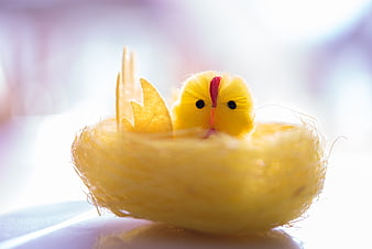 Cute yellow felt chick hatching from egg in nest