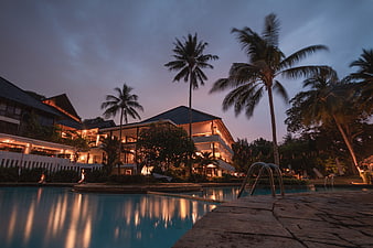 Tropical Resort Pool at Dusk with Palm Trees