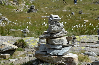 Stacked stone cairn on grassy mountain slope with wildflowers