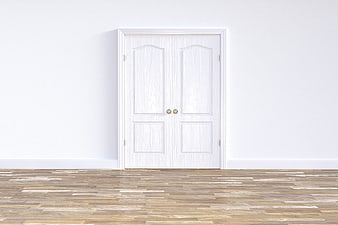 White Double Doors in Minimalist Room with Wooden Floor