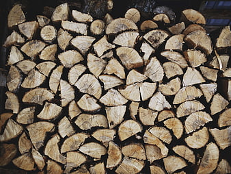 Stacked Firewood Logs with Natural Wood Grain Texture