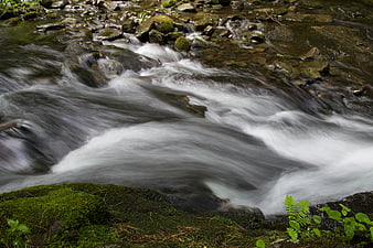 Long Exposure Flowing Mountain Stream with Mossy Rocks