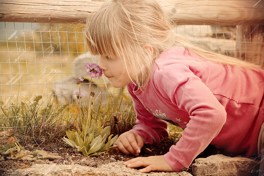 Young Girl Smelling Purple Wildflower In Garden