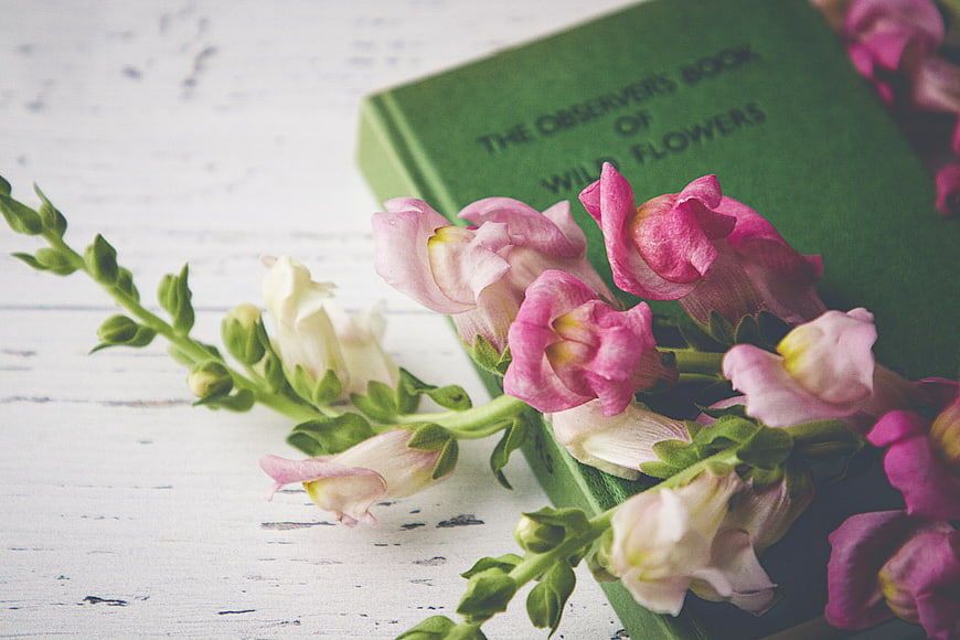 Vintage green book with pink snapdragons on rustic white wood
