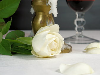 White Rose, Candle, and Red Wine on Table