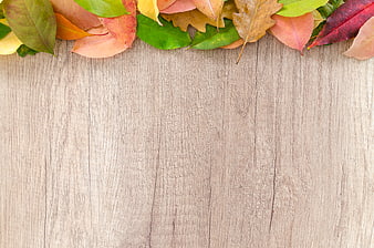 Autumn leaves border on light wooden background