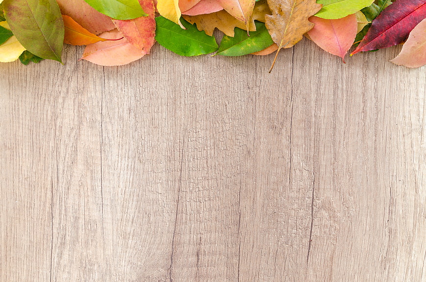 Autumn leaves border on light wooden background
