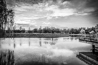 Serene Black and White Lake Landscape with Reflections