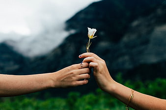 Couple holding hands with white flower against mountain backdrop