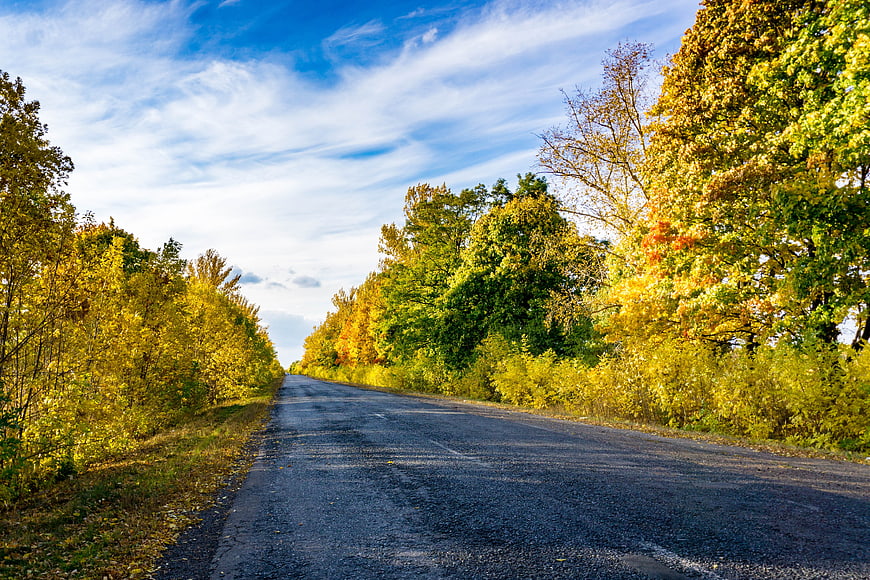 Scenic Country Road Through Vibrant Autumn Forest