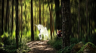 Fantasy Unicorn And Elf In Sunlit Pine Forest