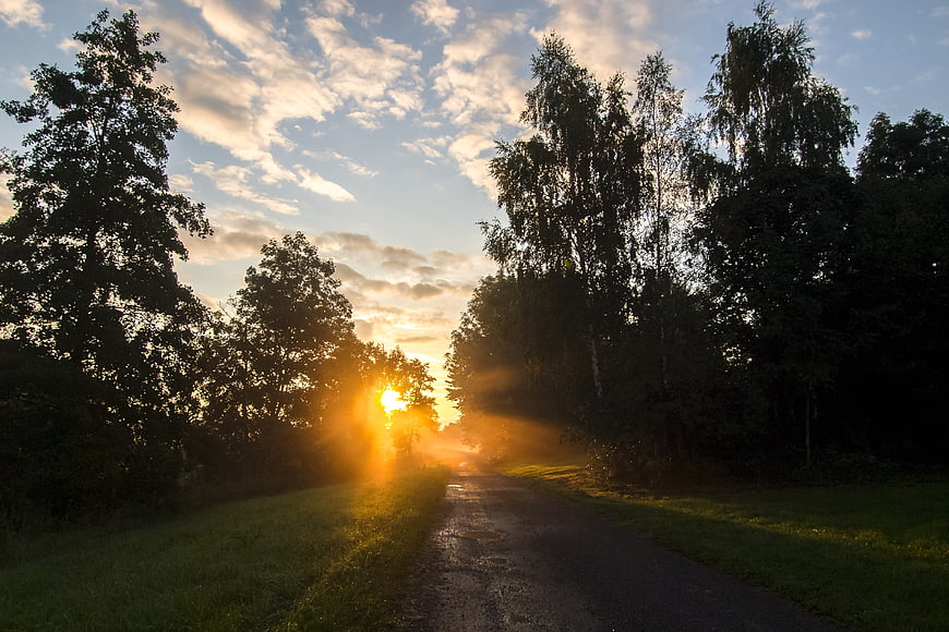 Sunrise on a misty country road through trees