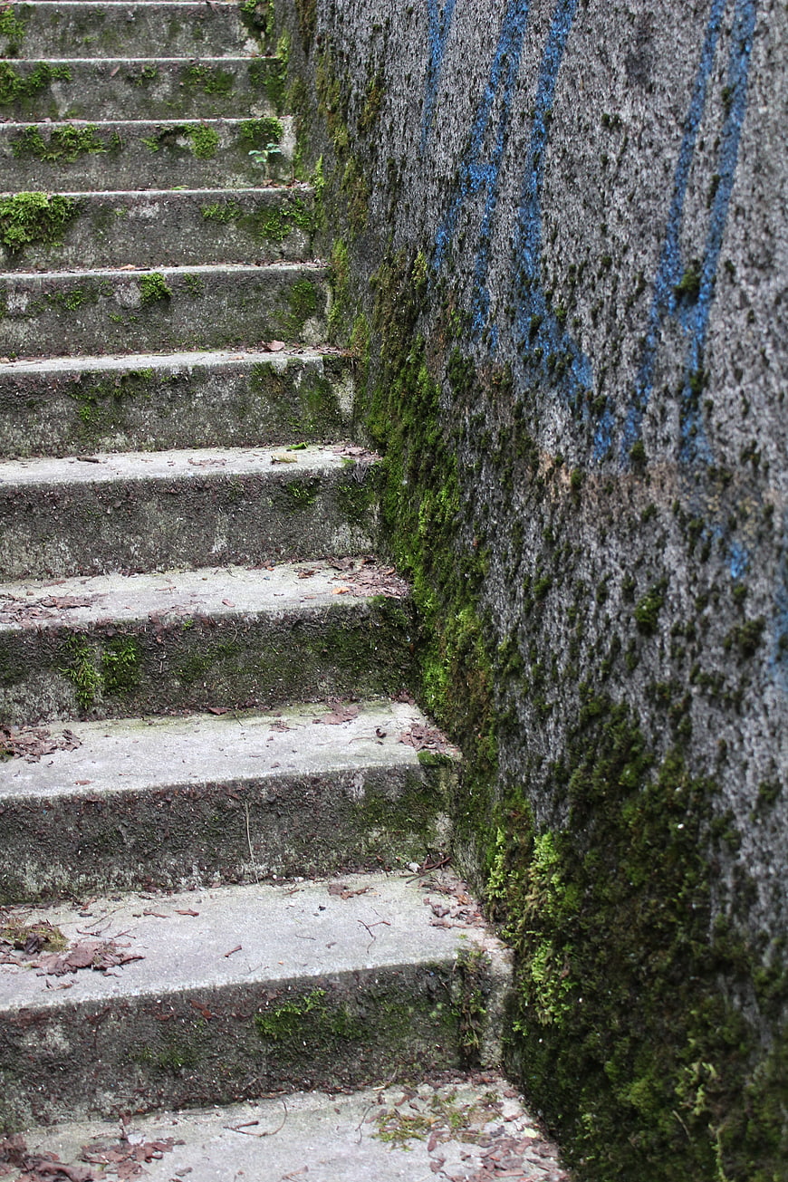 Mossy Concrete Stairs with Blue Graffiti Wall