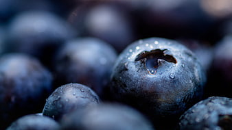 Macro Photography of Fresh Blueberries with Water Droplets