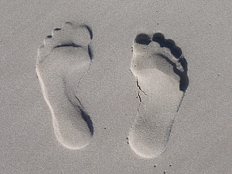 Footprints in the Sand on a Beach