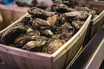 Fresh raw oysters in wooden crates at seafood market