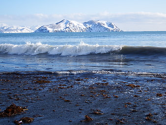 Snowy Mountains and Ocean Waves on a Winter Beach