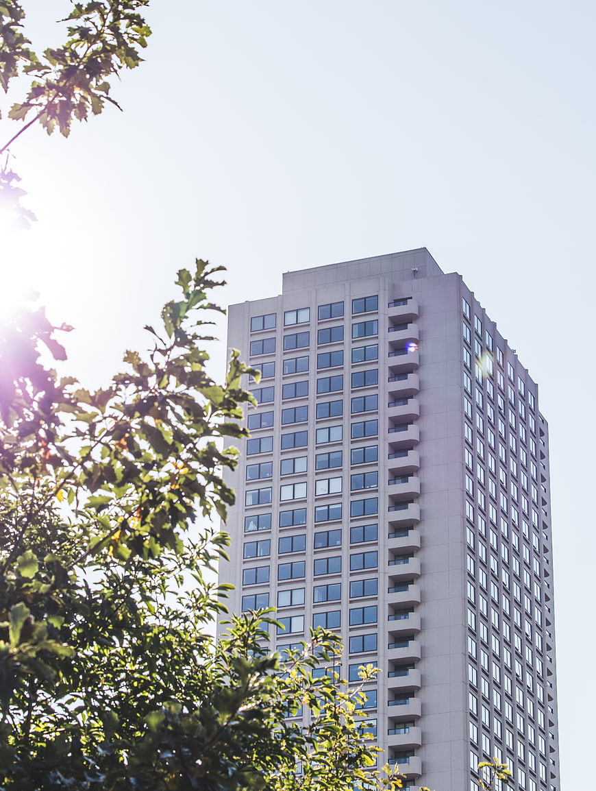 Modern High-Rise Building with Sun Flare and Tree Foliage