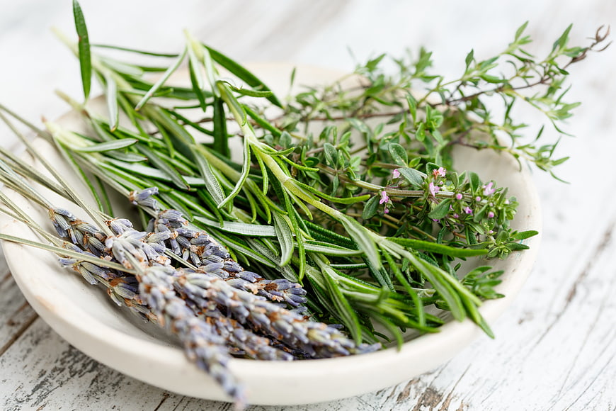 Fresh Rosemary, Thyme, and Lavender Herbs in a White Bowl