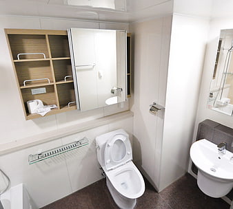 Modern white bathroom interior with toilet, sink, and wooden shelving