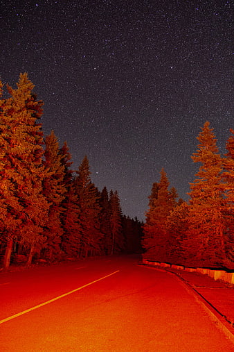 Night Sky Over Forest Road with Red Light