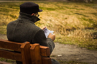 Senior Man Reading Book on Park Bench