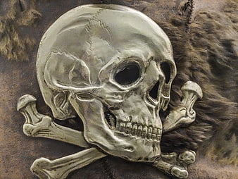 Metallic Skull and Crossbones Emblem on Leather Jacket