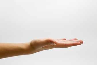 Open Hand Palm Up on White Background