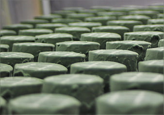 Rows of green cheese wheels with cross markings