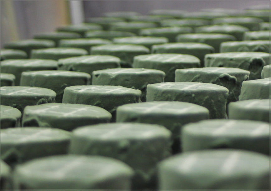 Rows of green cheese wheels with cross markings