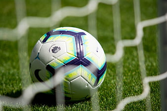 Soccer ball resting on grass behind goal net