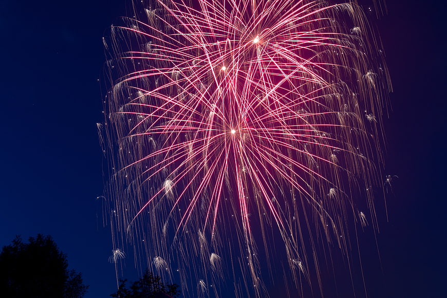 Red fireworks exploding in night sky with tree silhouette
