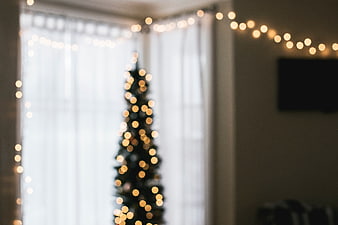 Blurred Christmas Tree with Bokeh Lights in Living Room