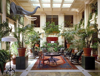 Luxurious Indoor Conservatory With Elephant Sculpture And Tropical Plants