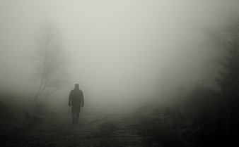 Silhouette of Man Walking on Foggy Path in Dark Forest