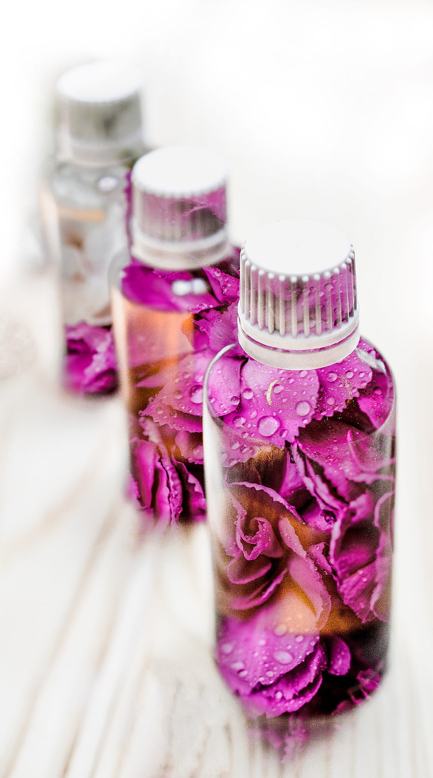Glass Bottles with Purple Rose Petals and Water Droplets