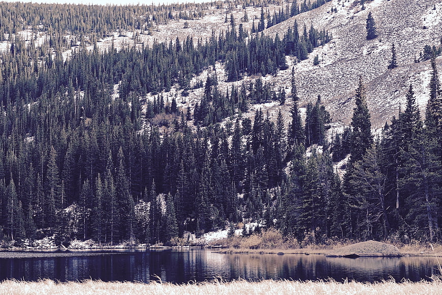 Serene mountain lake surrounded by pine forest and rocky slopes