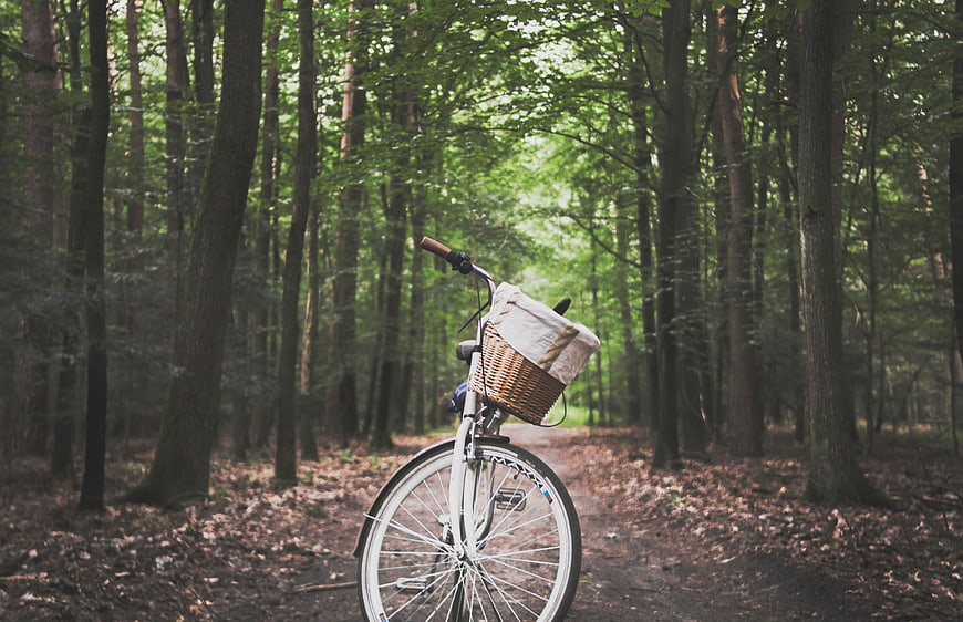 Vintage white bicycle with basket on forest path