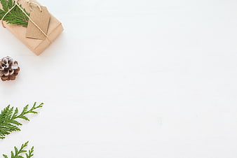 Minimalist Christmas Gift Box with Pine Branches and Copyspace