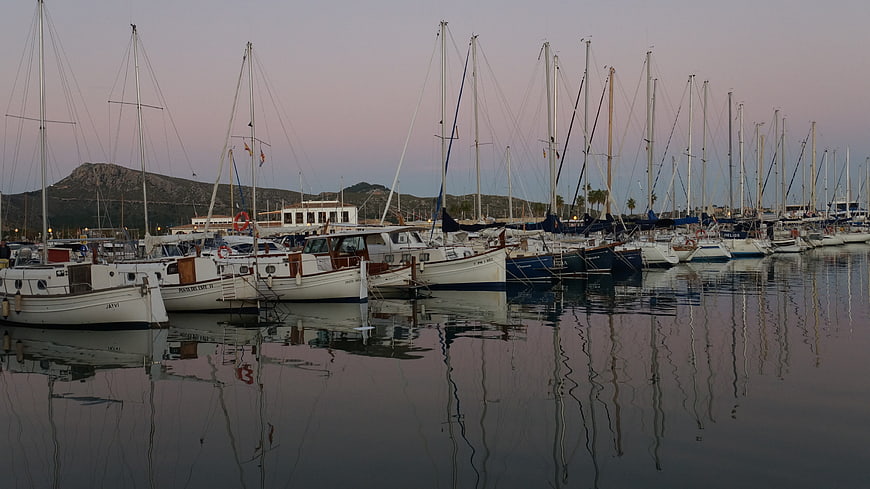 Sailboats docked in calm harbor at dusk with reflections