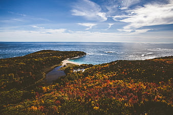 Aerial View of Vibrant Autumn Forest and Coastal Beach