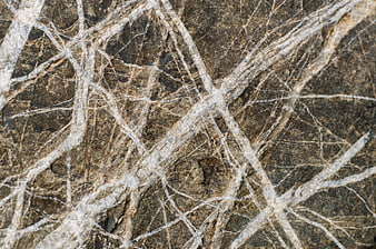Close-up of textured stone surface with white mineral veins