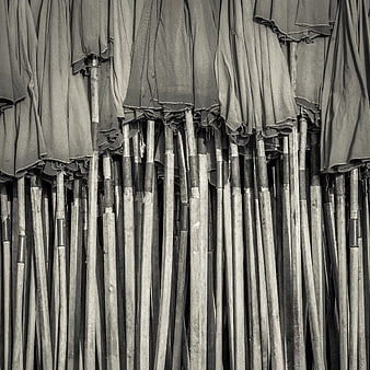 Black and white texture of closed beach umbrellas
